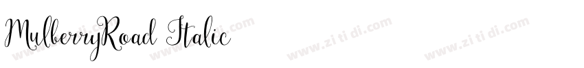 MulberryRoad Italic字体转换
